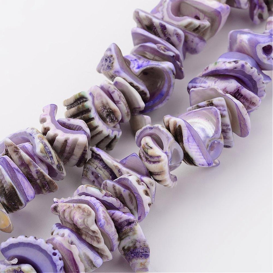 Natural Shell Bead Strand, 12-16mm