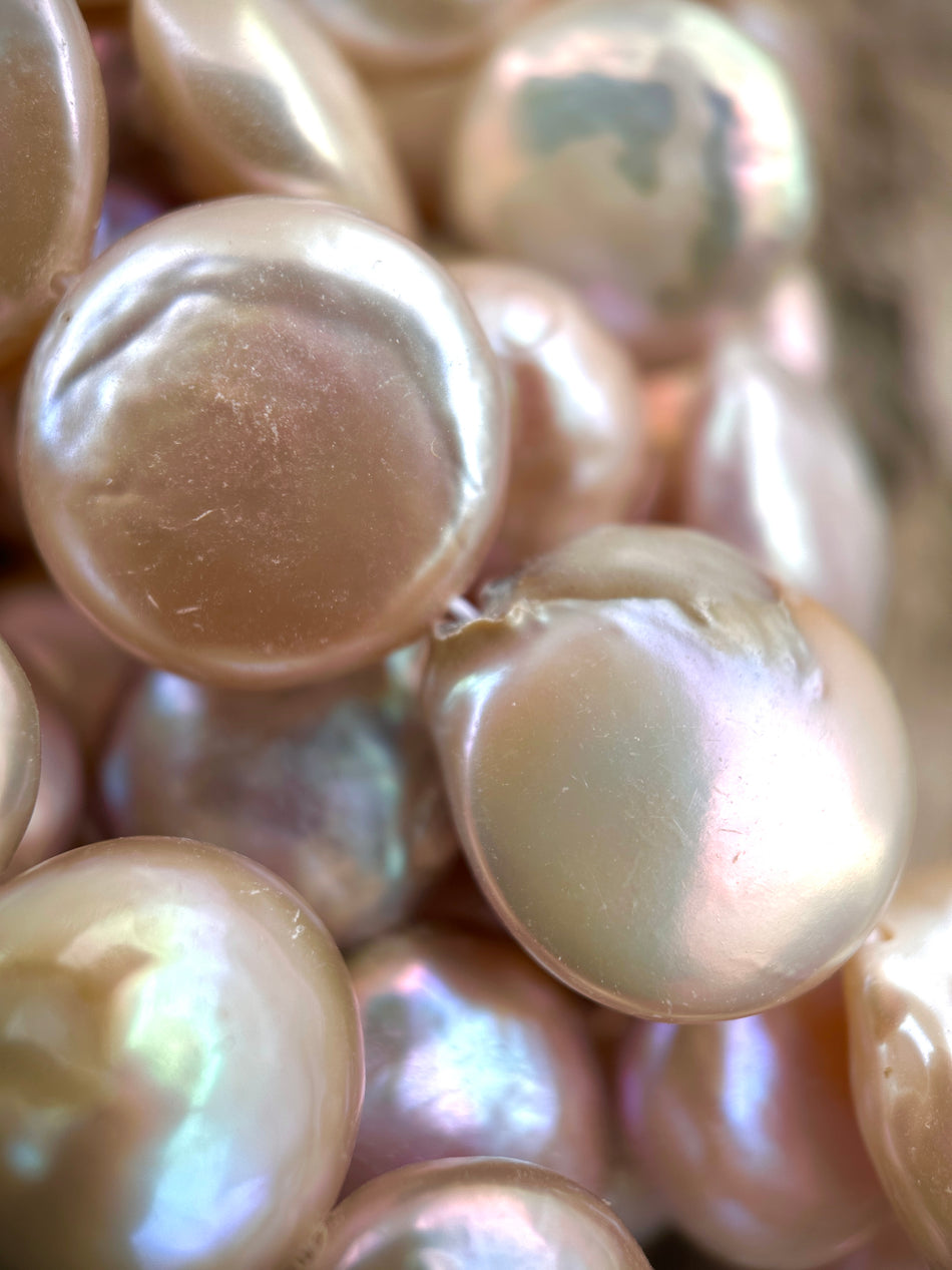 Freshwater Coin Pearl Strand, 12-16mm