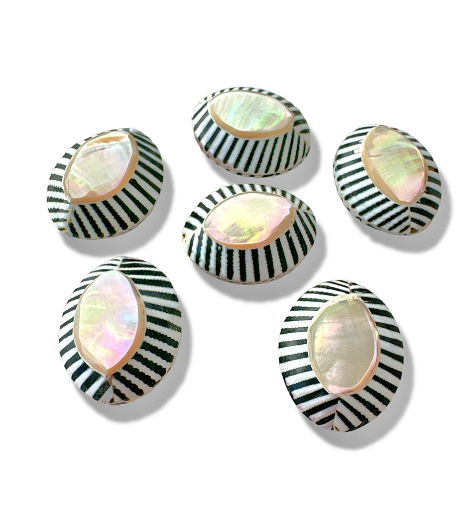 Colorful Mother of Pearl Oval Beads 25mm, 1pc