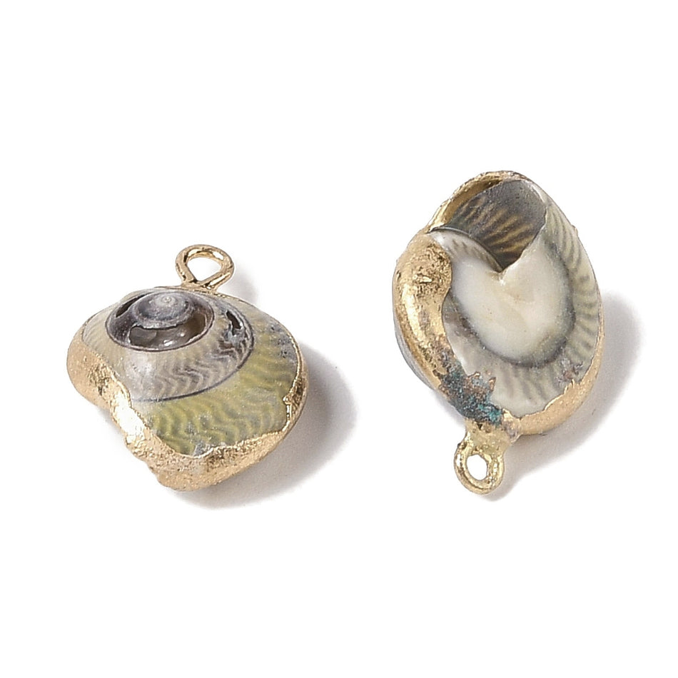 Natural Conch Pendant 20mm, 2pcs