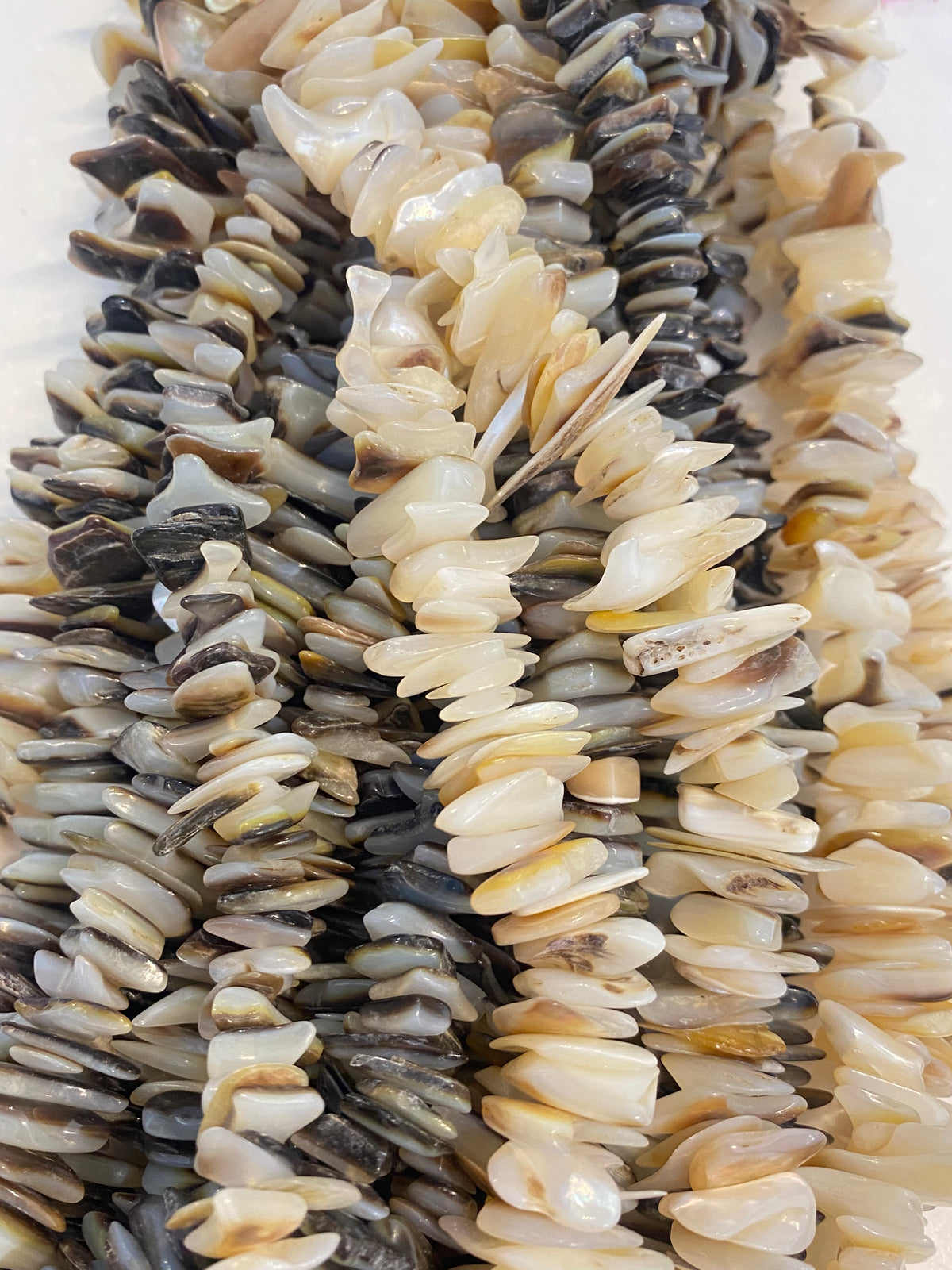 Shell Chips Strands Chip Shell Strand, 15-22mm – Damaris Beads