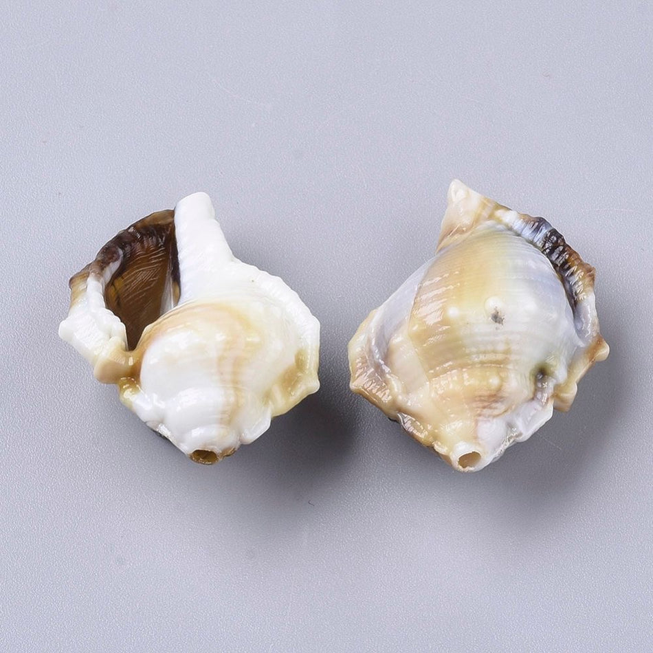 Cone Shell Acrylic Beads 27mm, 10pcs