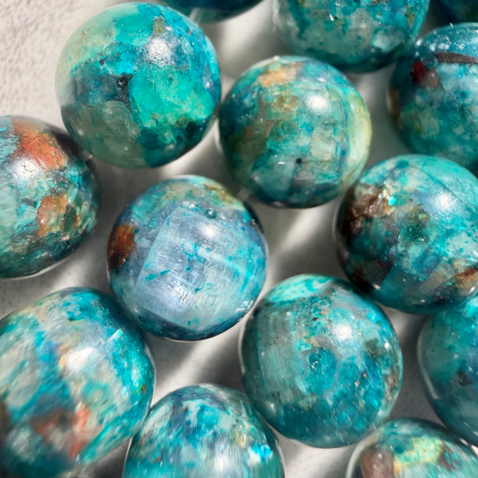 Round Turquoise Tone Jasper Bead 8mm Strand