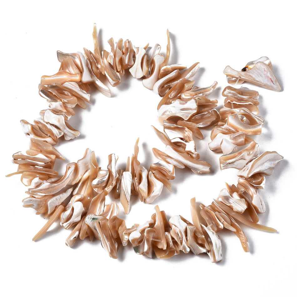 Natural Shell Chip Strand