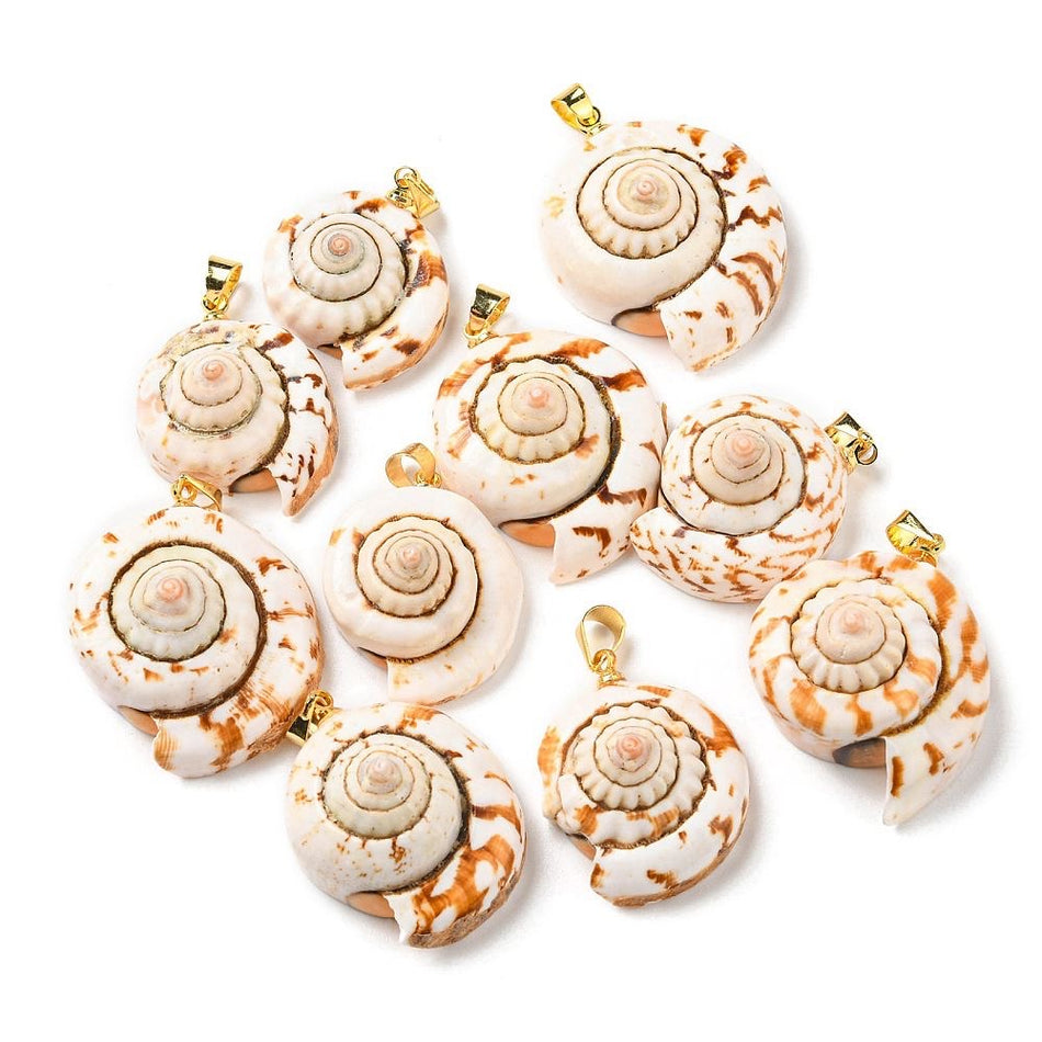 Natural Shell Pendant with Gold Filled Bail 22mm, 10pcs