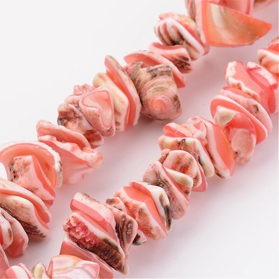 Natural Shell Bead Strand, 12-16mm