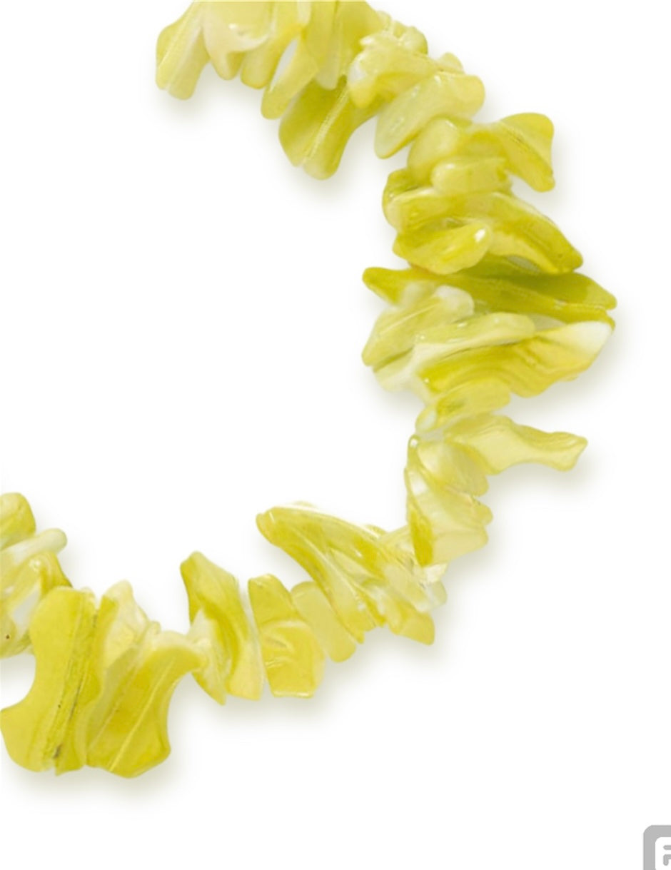 Lime Green Natural Shell Strand, 11mm