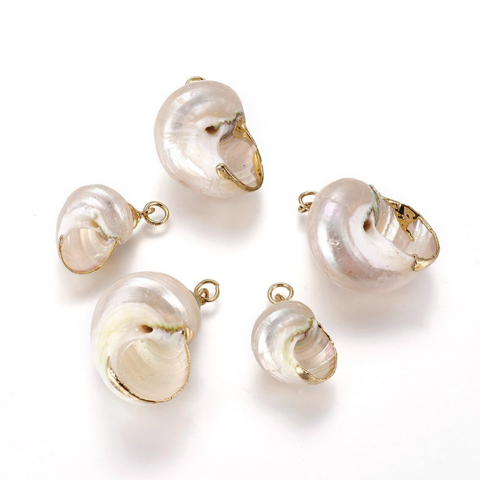 Natural Electroplated Conch Shell Pendant 28mm, 2pcs
