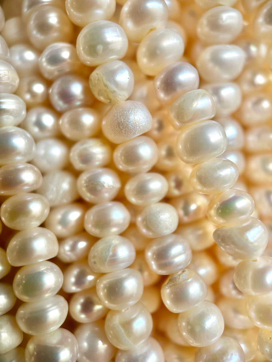 Freshwater Pearl Rondelle Strand