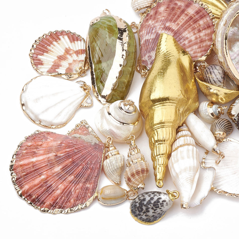 Mixed Shape Natural Shell Pendant 15-85mm, 5pcs