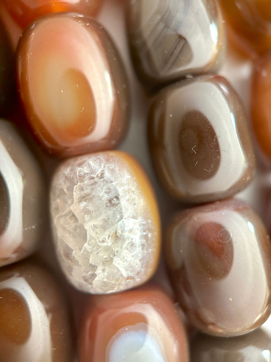 Brown Barrel Bead Agate Strand