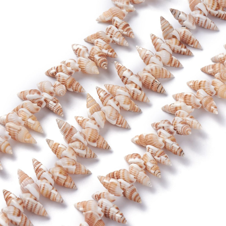 Natural Shell Bead Strand, 18mm