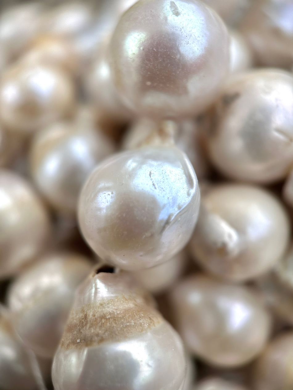 Freshwater Round Pearl Strand, 14mm