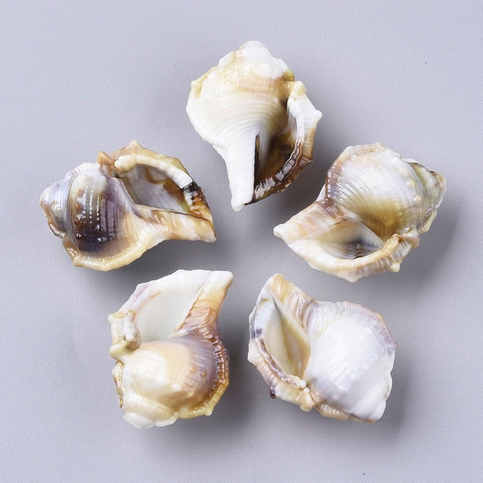 Cone Shell Acrylic Beads 27mm, 10pcs