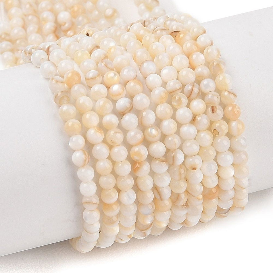 AB Round Bead Shell Strand