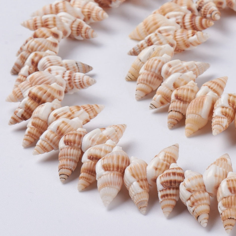 Natural Shell Bead Strand, 18mm