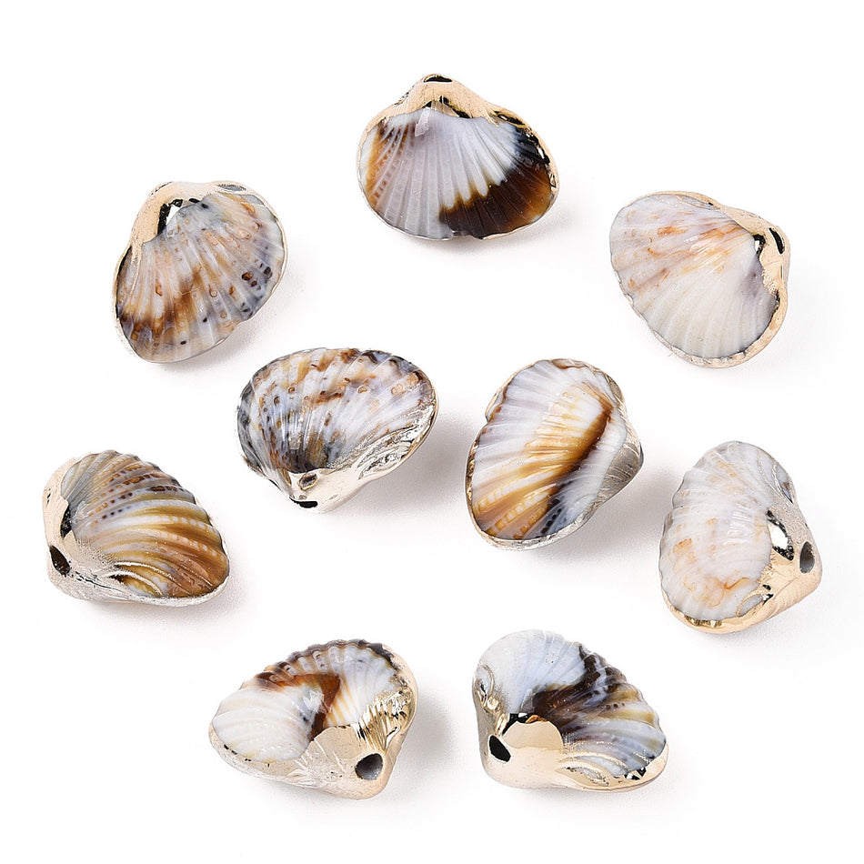 Shell Acrylic Beads 21mm,  8pcs