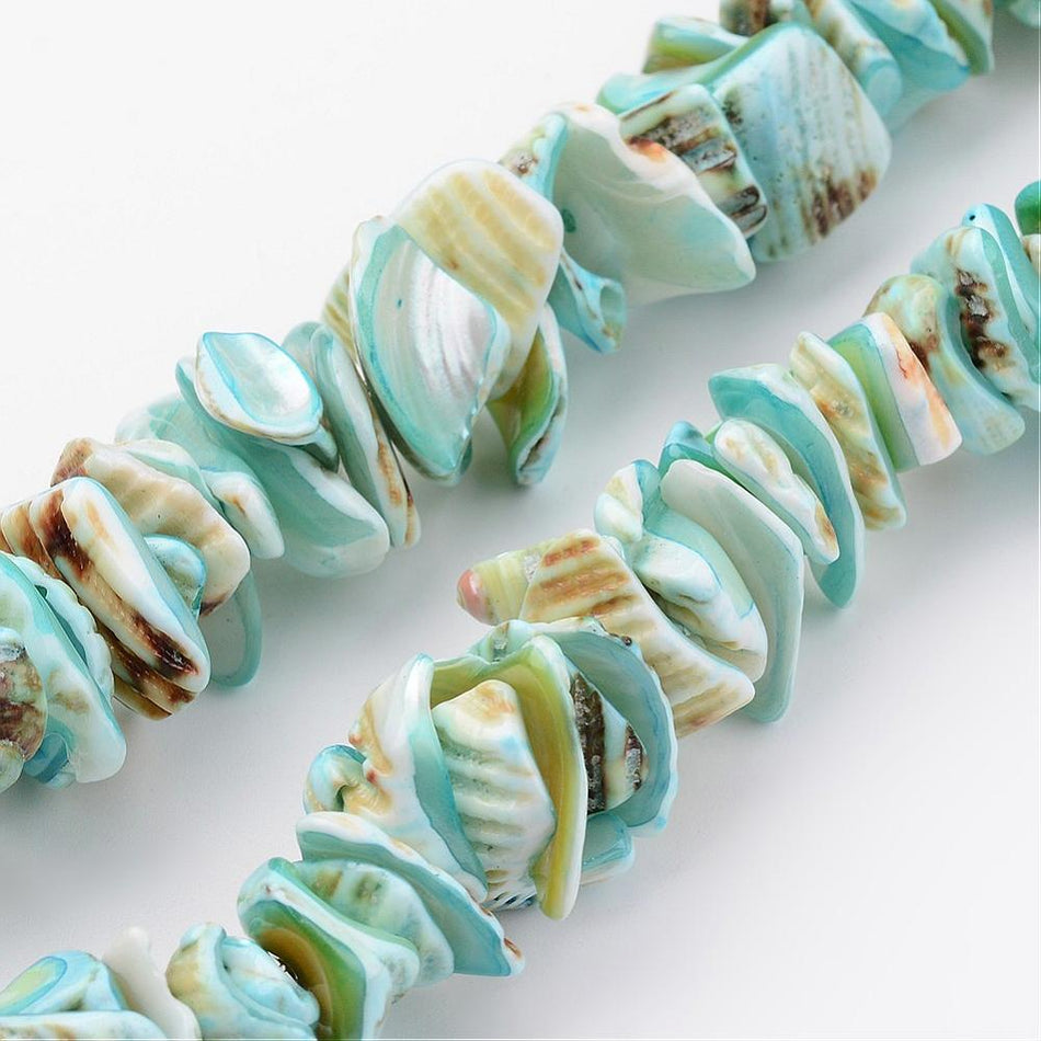 Natural Shell Bead Strand, 12-16mm