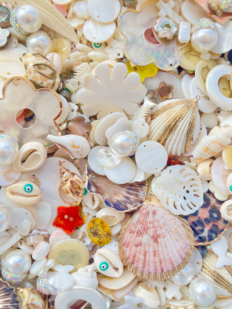 Treasure In A Bag, Shell Mix
