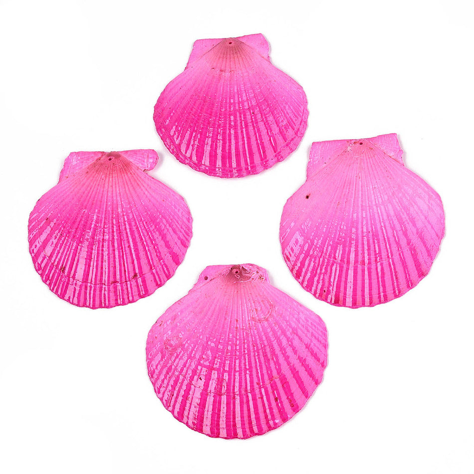 Natural Shell Pendants, 80mm 2pcs