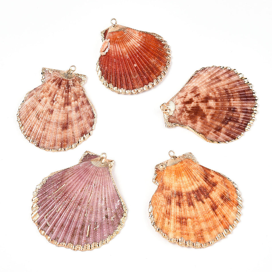 Sea Shell Pendant with Gold 33mm, 5pcs