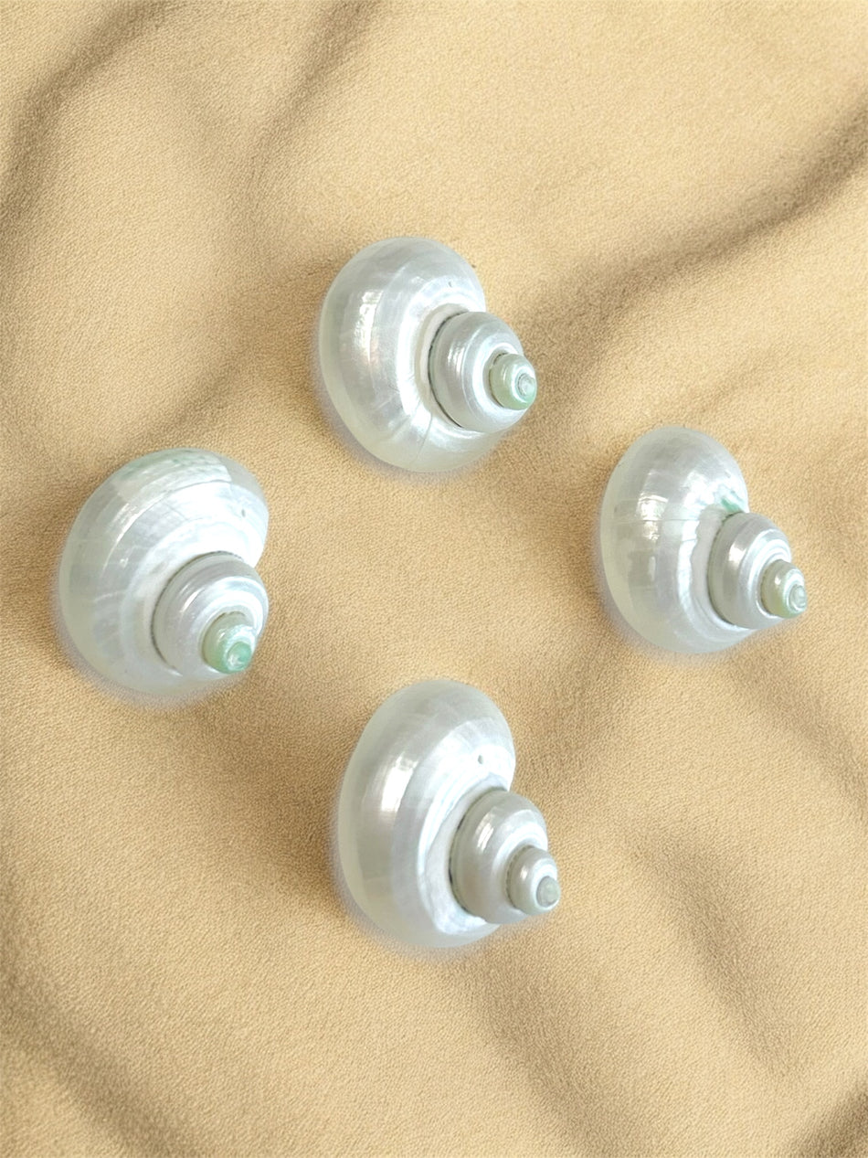 Natural Shell Bead 20mm, 1pc