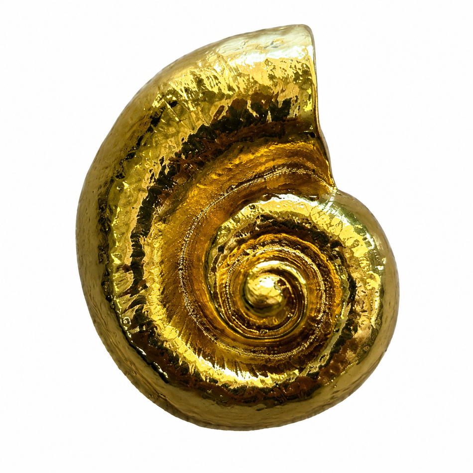 Gold Plated Shell Pendant 55mm, 1pc