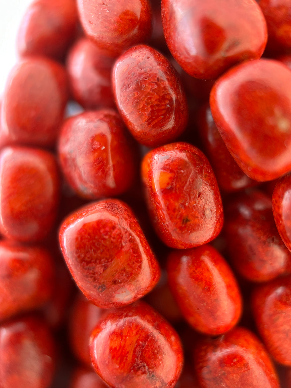 Red Coral Barrel Bead Strand, 10mm