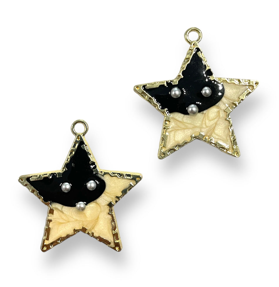 Gold-filled Acrylic Stars, 2pcs