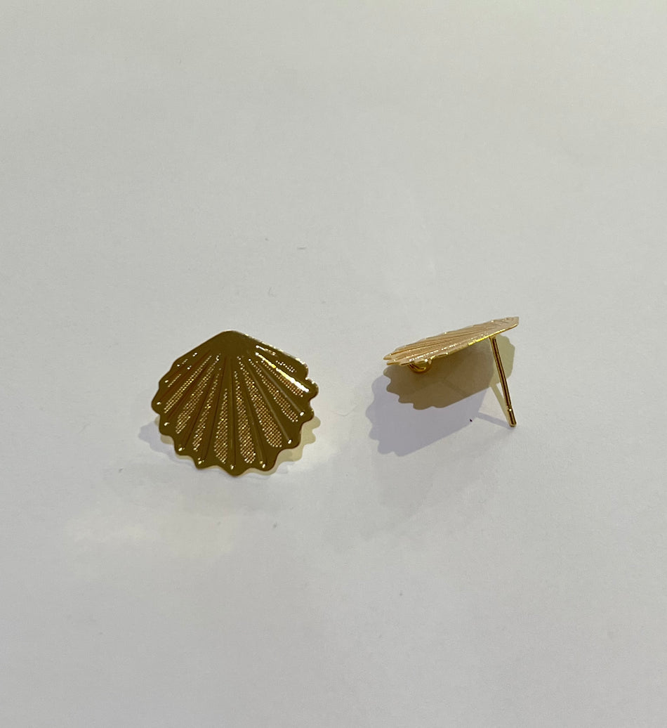 Clam earring stud GF (Pair)
