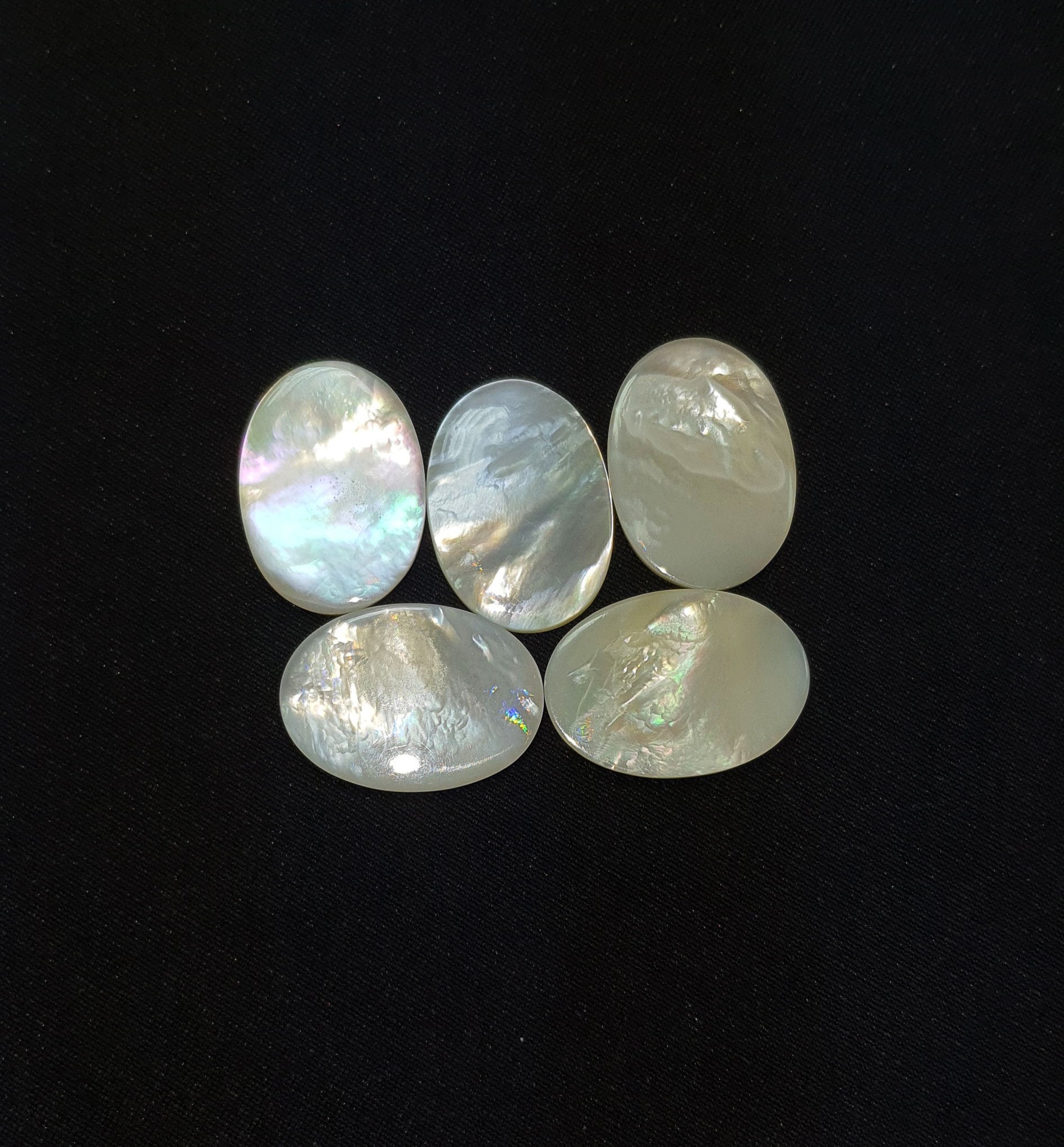 Oval Shell 16mm, 4pcs – Damaris Beads