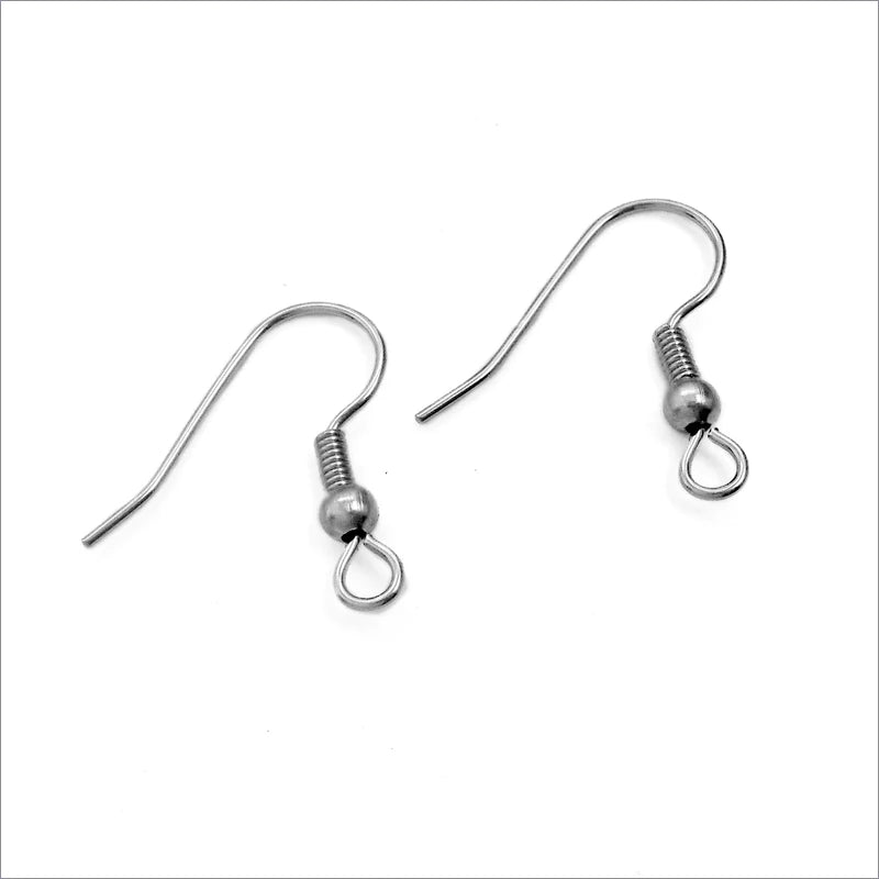 Silver Stainless Steel Earring Hooks, 20pcs